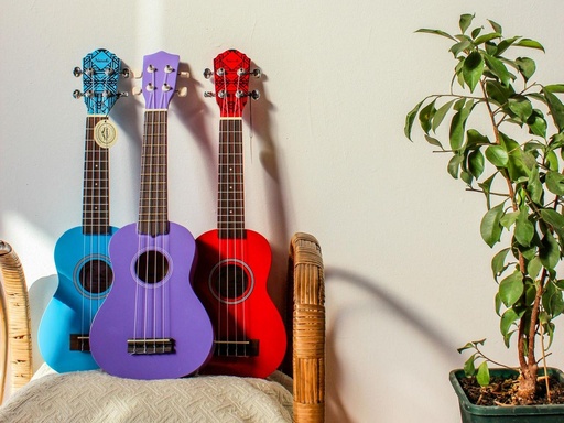 Ukulele Classes for Beginners (Group)